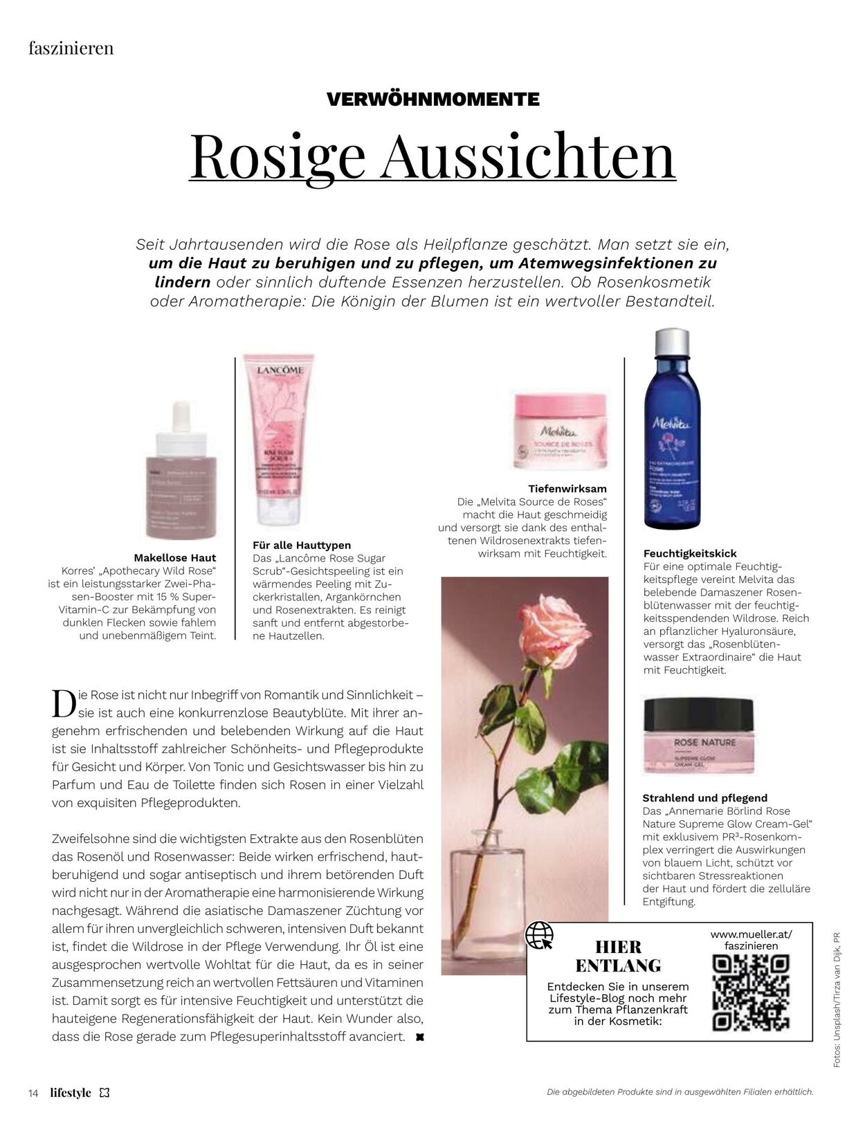 Prospekt Müller 01.12.2022 - 31.12.2022