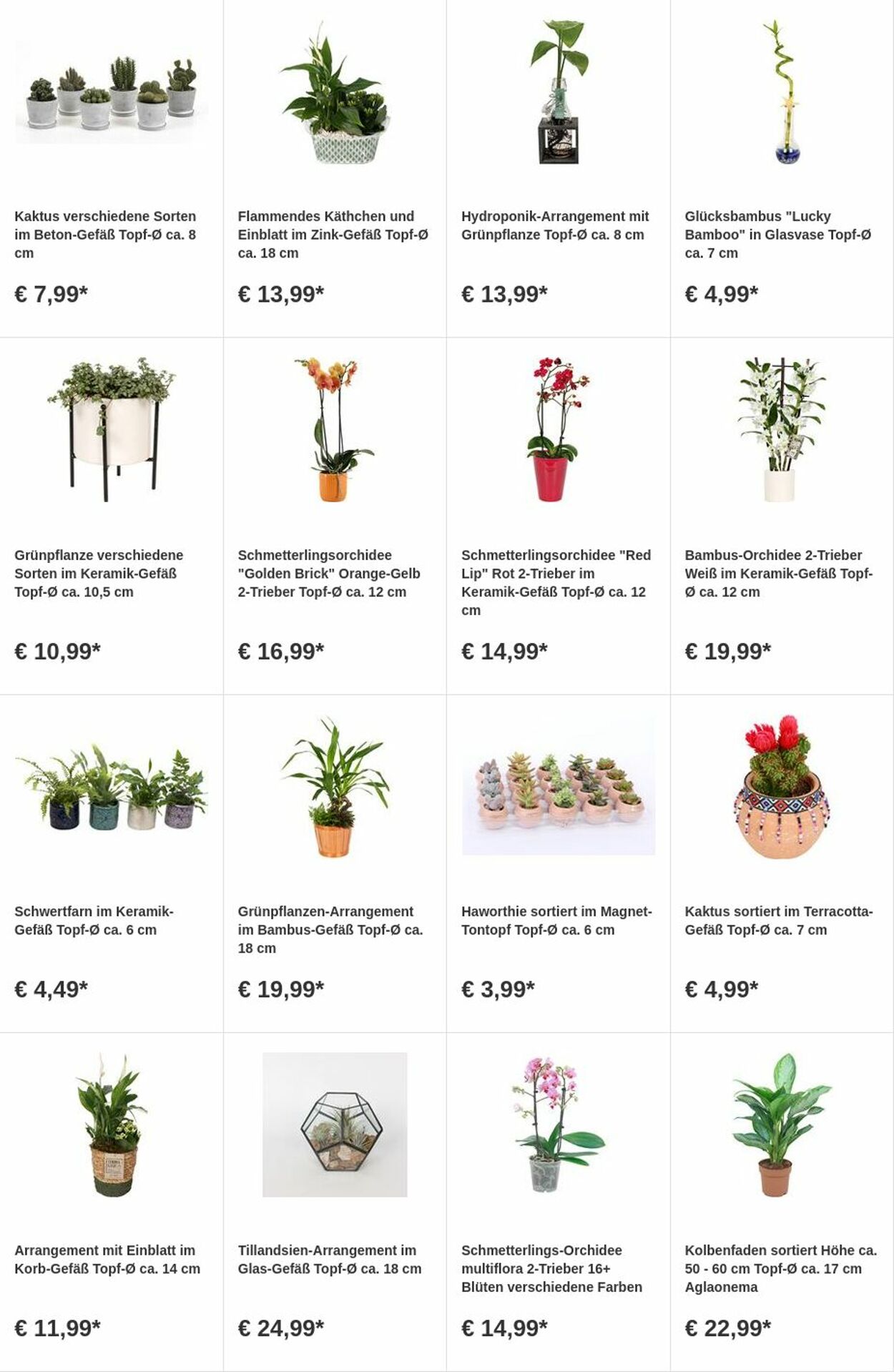 Prospekt OBI 21.08.2023 - 03.09.2023