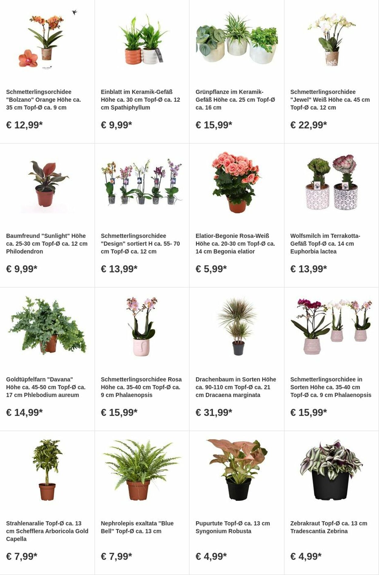 Prospekt OBI 28.08.2023 - 10.09.2023