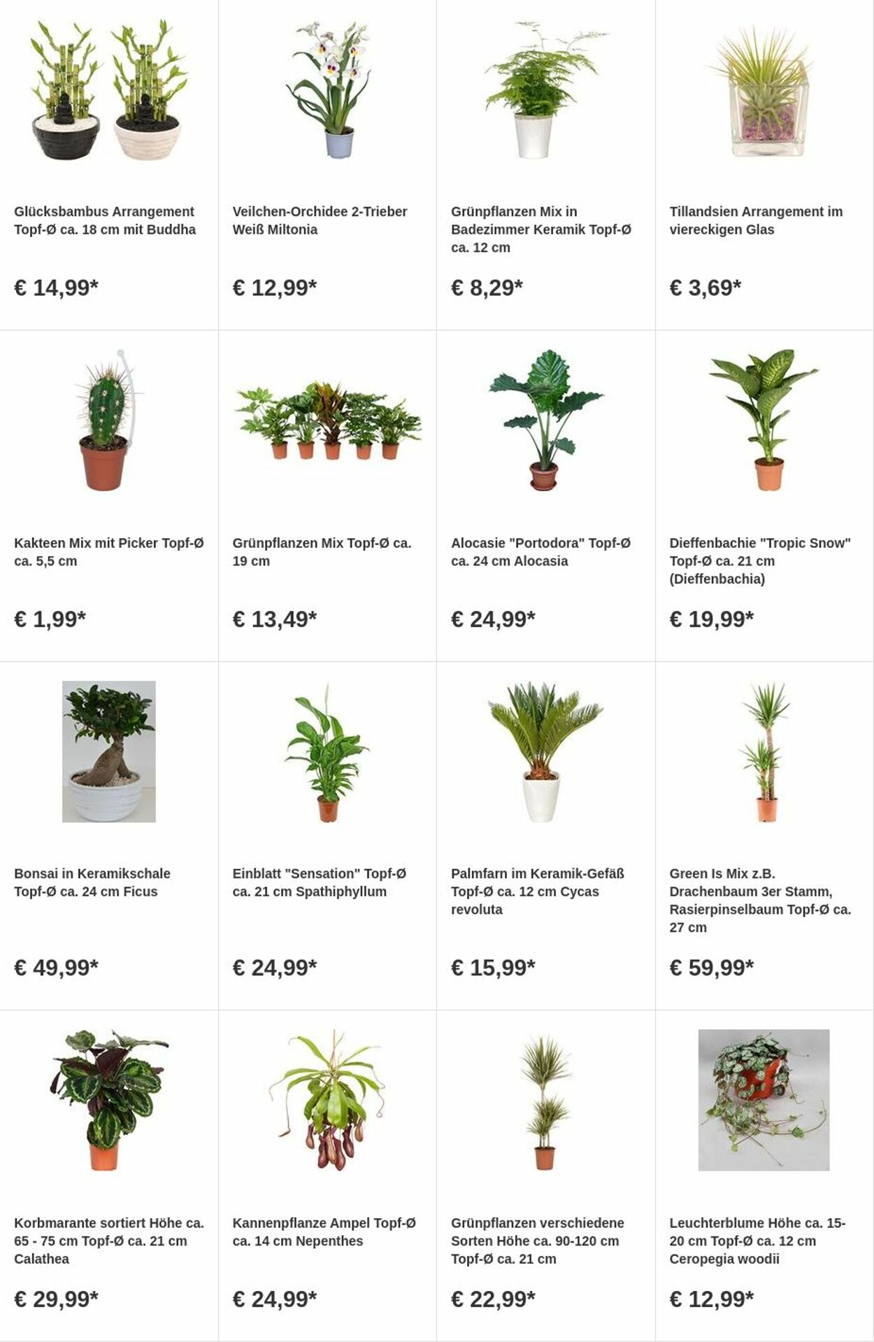 Prospekt OBI 07.08.2023 - 20.08.2023