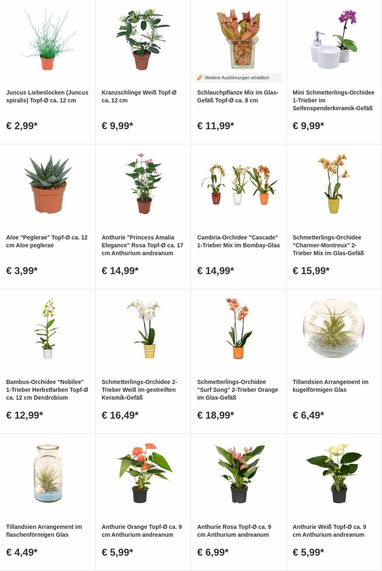 Prospekt OBI 07.08.2023 - 20.08.2023