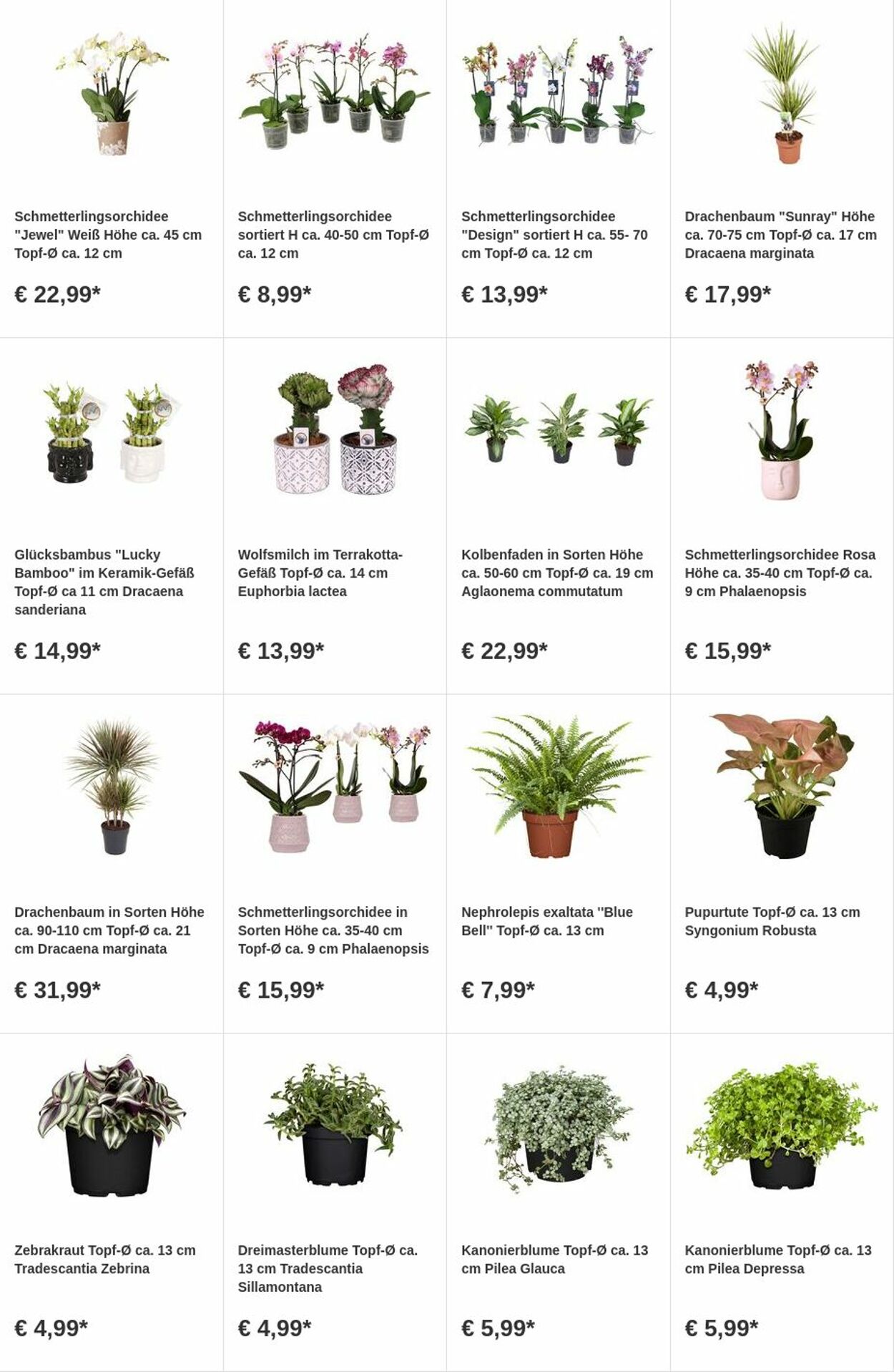 Prospekt OBI 31.07.2023 - 13.08.2023