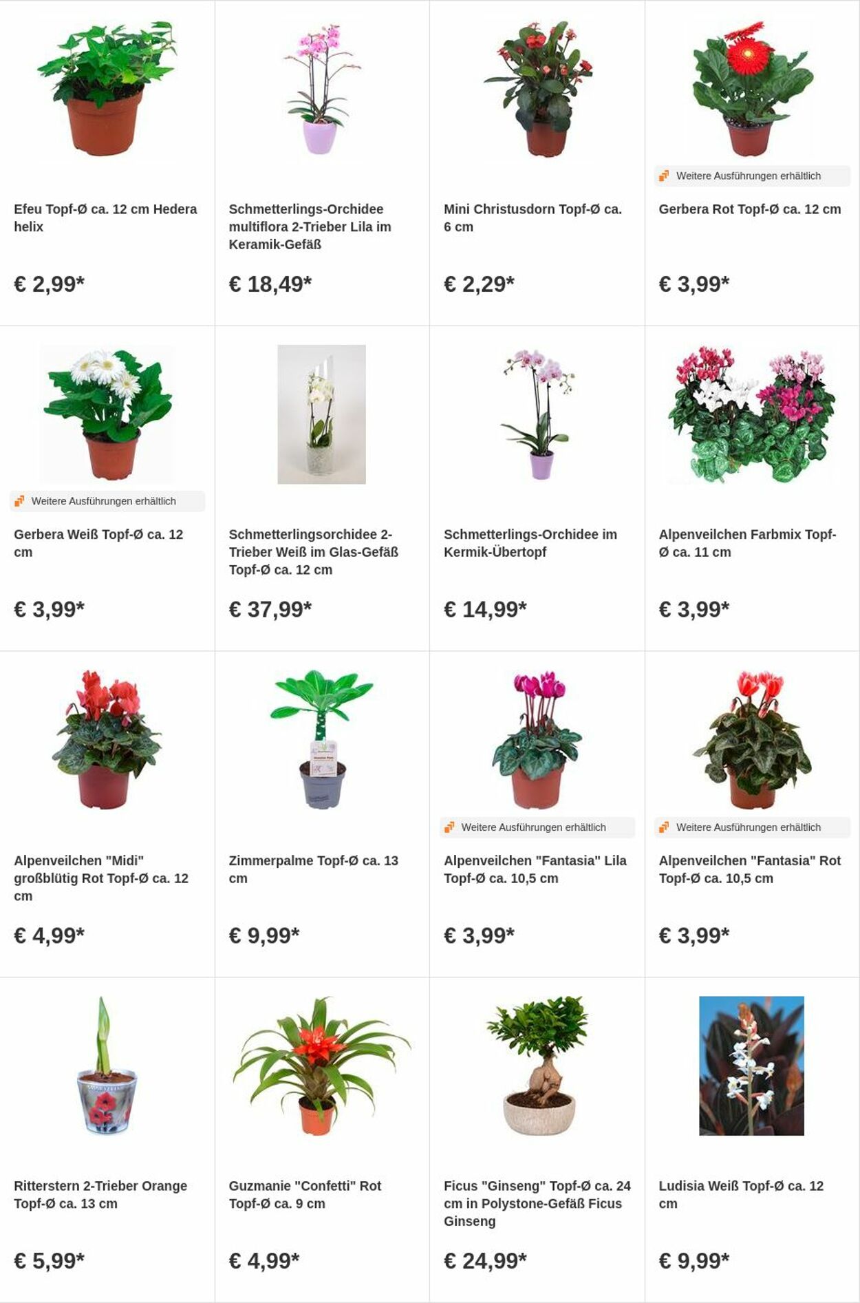 Prospekt OBI 31.07.2023 - 13.08.2023