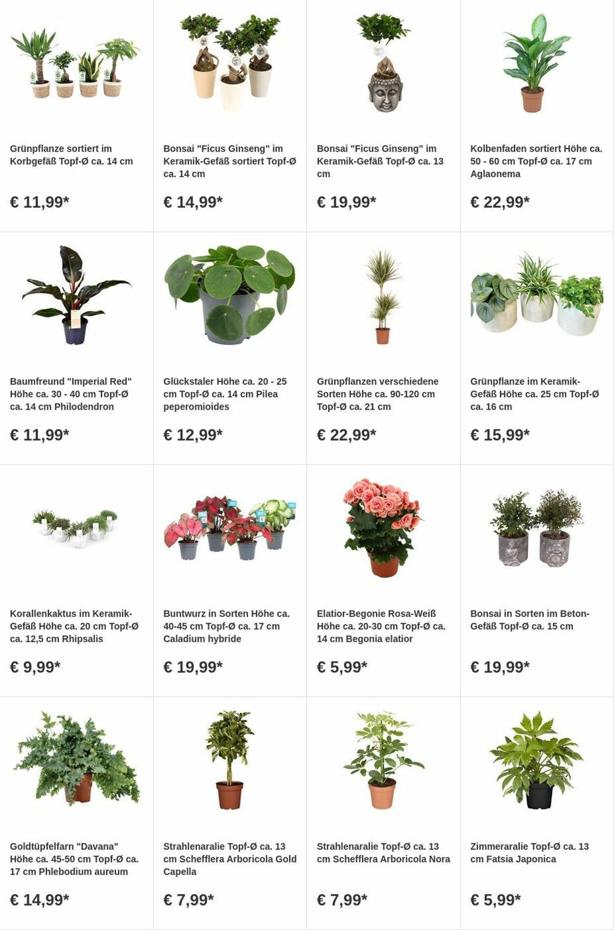 Prospekt OBI 31.07.2023 - 13.08.2023