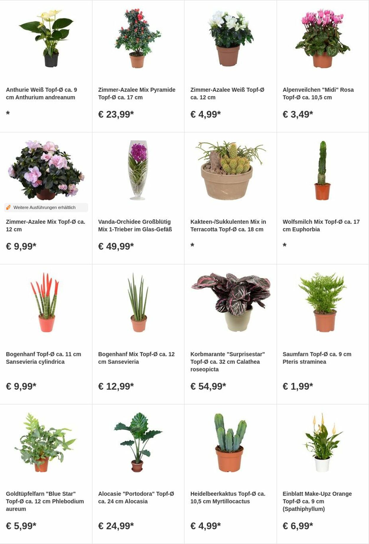 Prospekt OBI 31.07.2023 - 13.08.2023