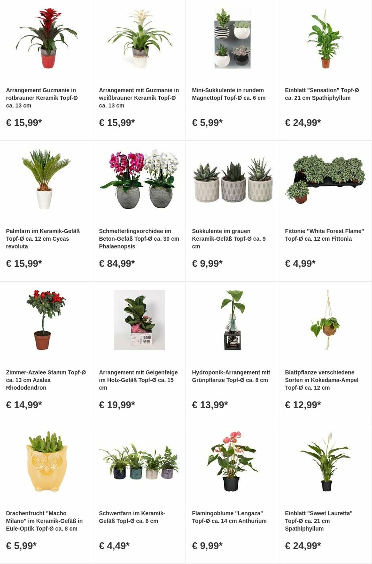 Prospekt OBI 31.07.2023 - 13.08.2023