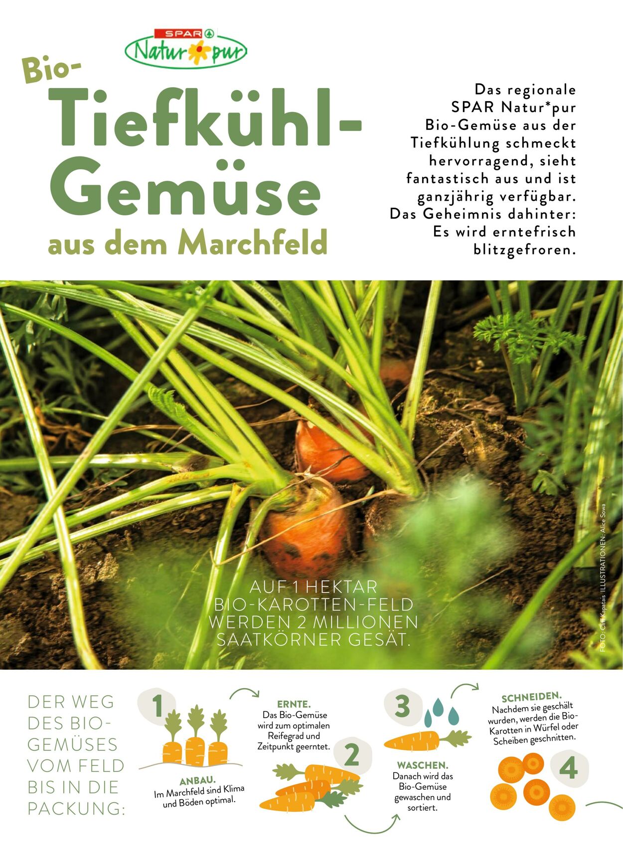 Prospekt Spar 08.03.2023 - 20.04.2023