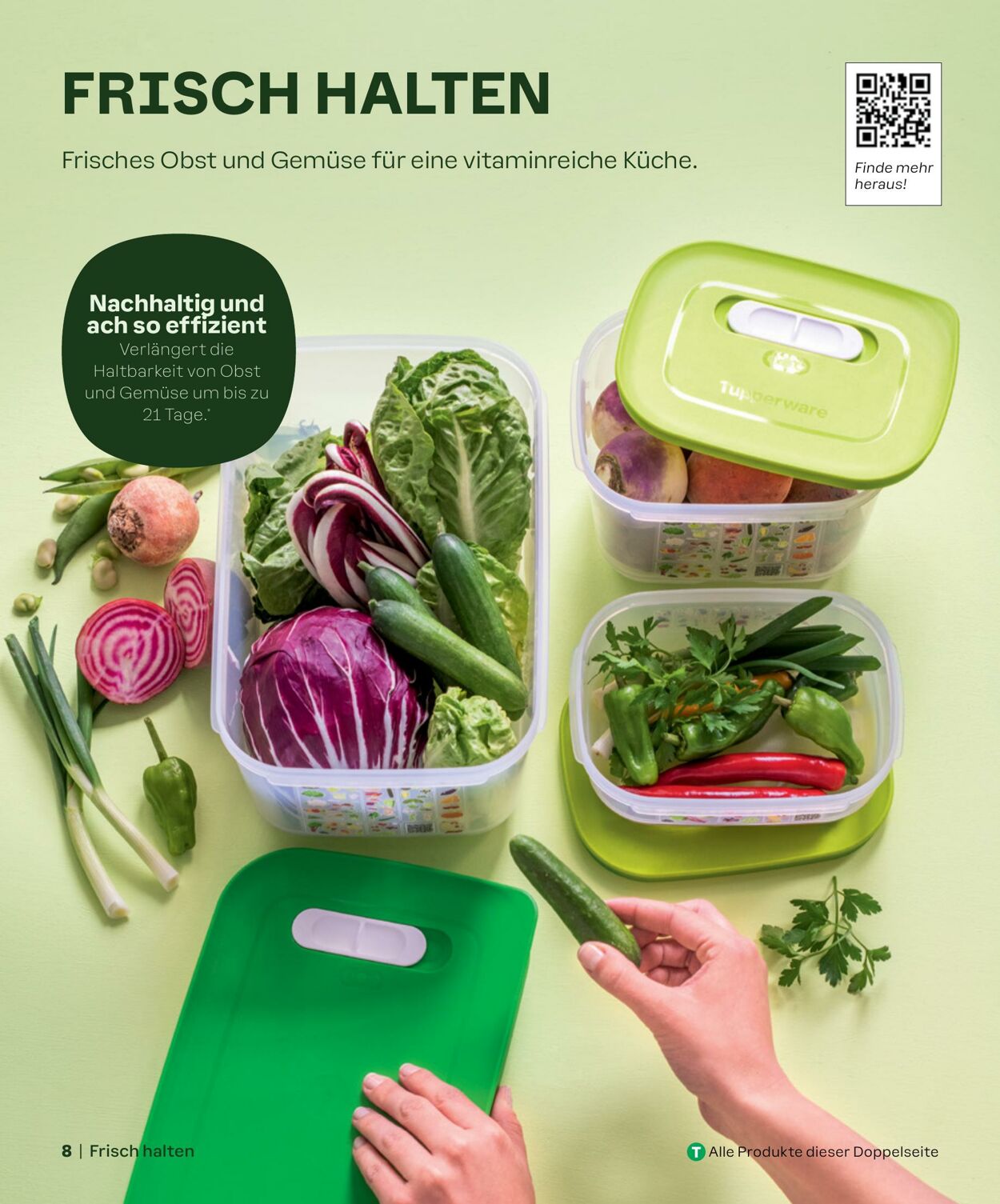 Prospekt Tupperware 01.03.2024 - 31.08.2024